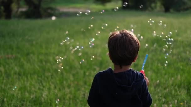 Милый мальчик играет, надувает пузырьки на открытом воздухе — стоковое видео