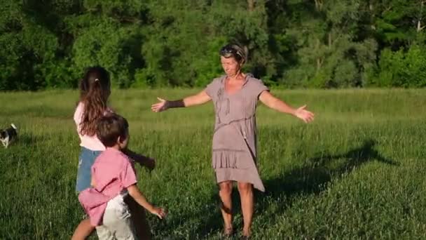 Little caucasian boy and girl hug kiss grandmother. — Stock Video