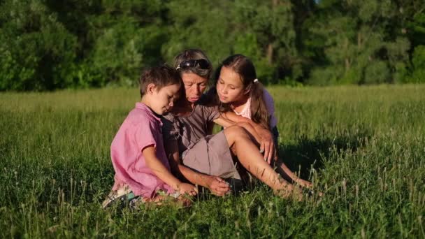 Isoäiti kaksi lasta istua ja puhua kesällä niitty — kuvapankkivideo