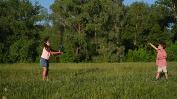 Девочка и мальчик играют на летнем лугу — стоковое видео