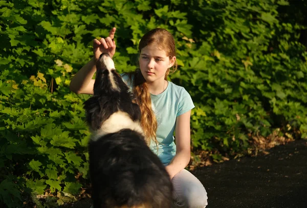 Dospívající dívka objímají australského ovčáka štěně psa v létě. v lese — Stock fotografie