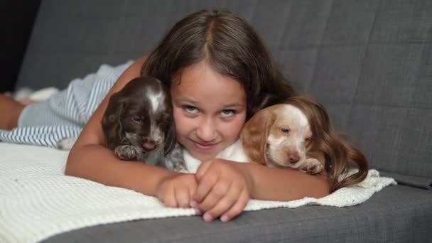 4k. schattig klein meisje omarmen en liggen met twee russisch spaniel puppy hond — Stockvideo