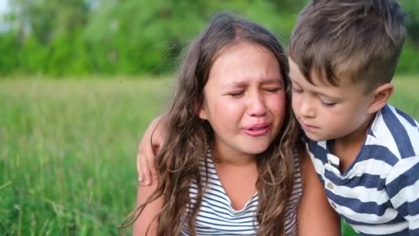 Brother console sad caucasian little girl cry — Stock Video