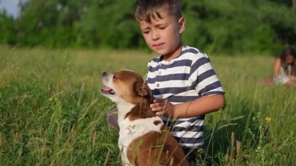 Carino poco caucasico ragazzo animale domestico loro cane sedersi su erba — Video Stock