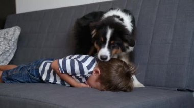Neşeli mutlu köpek, sahibini uyandır ve yürüyüşe çık..