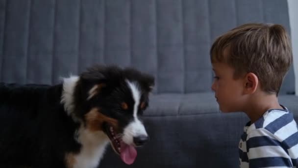 Pouco bonito caucasiano menino pet brincalhão feliz cão — Vídeo de Stock