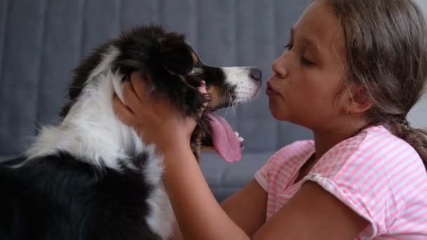 작고 귀여운 코카서스 소녀는 오스트랄 리아의 양치기 개에게 키스를 받아들인다 — 비디오