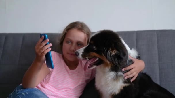 Little cute caucasian girl embrace australian shepherd dog. Make selfie — Stockvideo