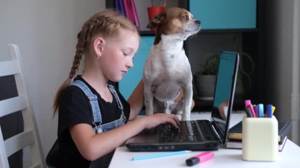 Flicka med bärbar dator studerar hemma. Hund sitta på bordet. — Stockvideo