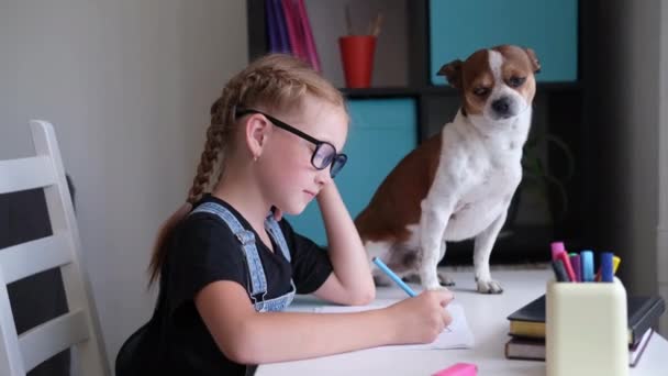 Flicka i glasögon studerar hemma. Hund sitta på bordet. — Stockvideo