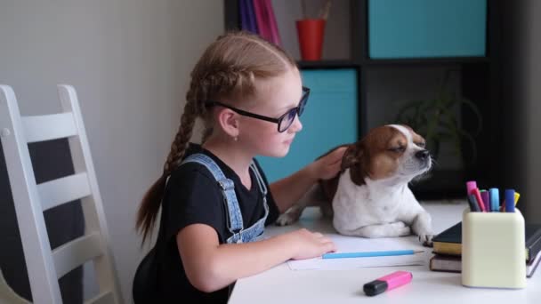 Το κορίτσι με τα γυαλιά που διαβάζει στο σπίτι. Σκύλος κάθισε στο τραπέζι.. — Αρχείο Βίντεο