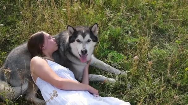 Gelukkig vrouw knuffelen en liegen alaskan malamute hond in de zomer veld — Stockvideo