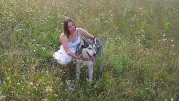 Vrouw zitten met alaskan malamute hond in de zomer veld — Stockvideo