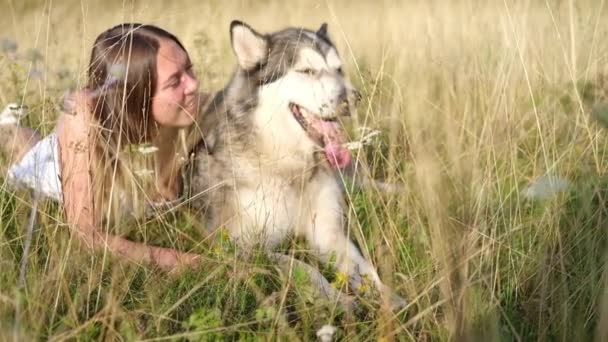Mulher feliz mentindo e falar alasca cão malamute no campo de verão — Vídeo de Stock