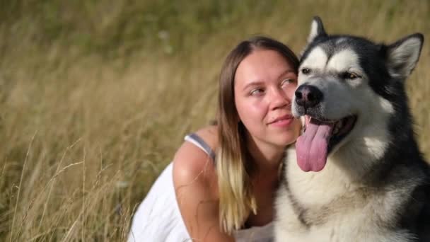 Žena tváří v tvář alaskan malamute pes v létě pole — Stock video