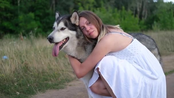 Vrouw huisdier alaskan malamute hond op zomer veld weg — Stockvideo