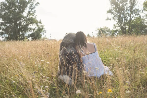 Vista rara della donna che abbraccia il cane malamuto alaskan nel campo estivo — Foto Stock