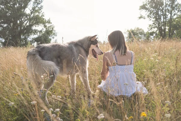 Vue rare de la femme avec chien malamute de l'Alaska dans un champ d'été — Photo