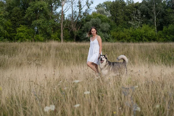 Donna a piedi con alaskan cane malamute nel campo estivo — Foto Stock