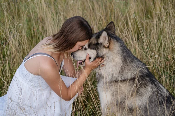 Mulher feliz abraçando e beijo alasca cão malamute no campo de verão — Fotografia de Stock