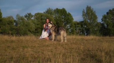 Happy woman pet and feed alaskan malamute dog in summer field