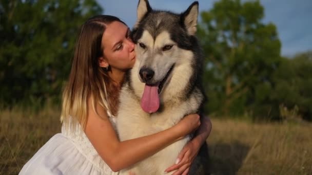 Boldog nő ölel alaszkai malamute kutya a nyári mezőn — Stock videók