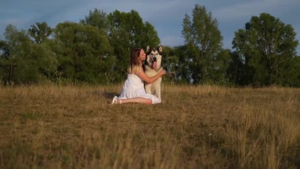 Mulher feliz abraçar cão malamute alasca no campo de verão — Vídeo de Stock