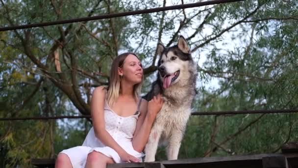 Happy woman embrace alaskan malamute dog on suspension bridge — стоковое видео