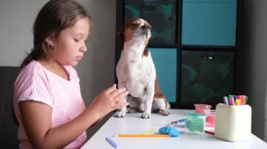 4 bin. Beyaz kız ve chihuhua köpeği evde birlikte heykel yapıyorlar.