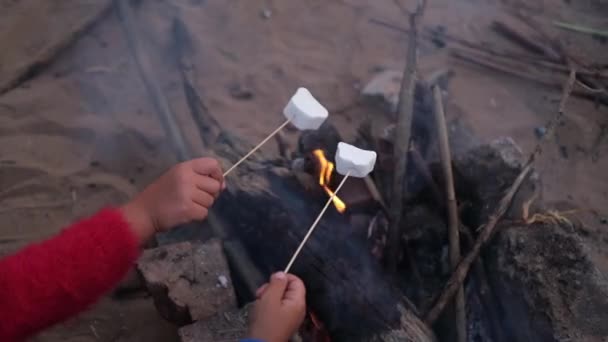 Dua anak tangan memanggang marshmallow di api unggun di hutan — Stok Video