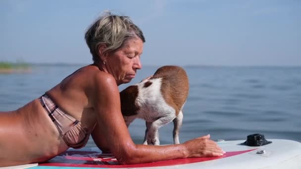 Actieve senior vrouw op surfen met hond in het water — Stockvideo