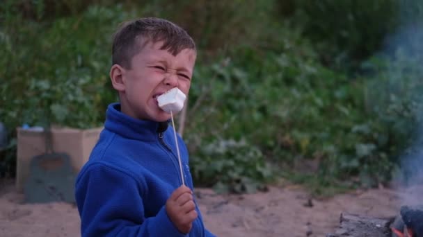 Mały chłopiec jeść i pieczenia pianki przy ognisku w lesie — Wideo stockowe