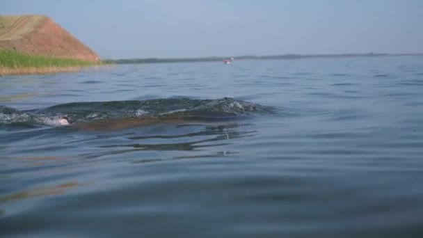 Малыш плавает под водой в реке. Водный спорт — стоковое видео