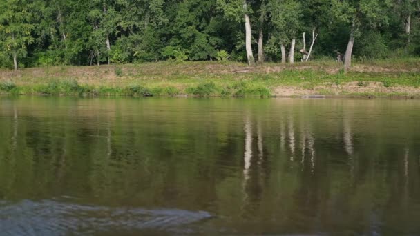 Hermosa orilla del río en soleado día de verano — Vídeo de stock