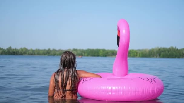 Seltener Blick auf kleines Mädchen, das mit Flamingo im Wasser spielt — Stockvideo