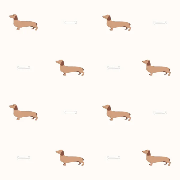 Minimalizm Türündeki Vektör Grafikleri Kusursuz Bir Işık Deseni Bir Dachshund — Stok Vektör