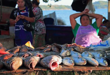 kadın balık market, Phuket Island, Tayland tarihinde satış