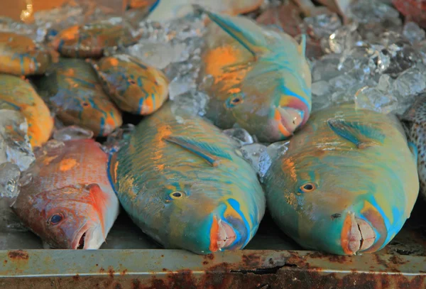 Fryst fisk på gatan marknaden, ön Phuket — Stockfoto