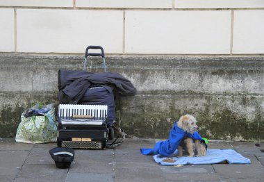 akordeon Vicenza açık köpekle