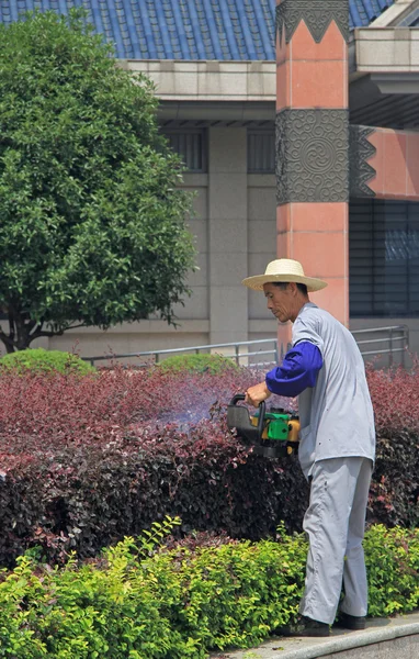 Gardener with Gasoline Hedge Trimmer is doing his work — Stock Photo, Image