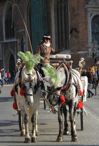 Carrozza a cavallo nella piazza principale di Cracovia in un giorno d'estate — Foto Stock