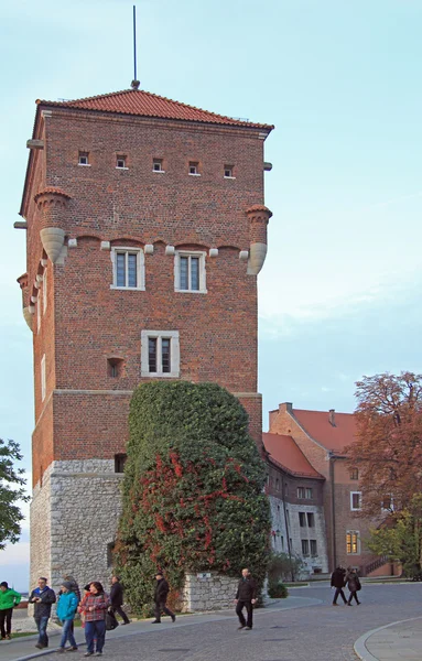 Ladrões Torre de Wawel castelo em Cracóvia, Polônia — Fotografia de Stock