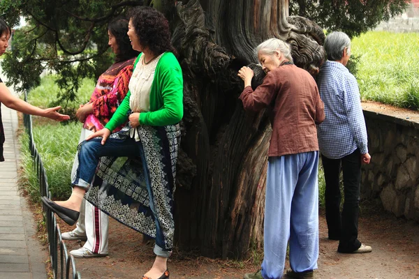 some people are clinging to magic wood in park of Beijing