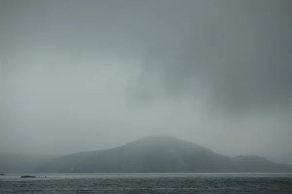 Ilha com ursos do mar, mar japonês, Vladivostok — Fotografia de Stock