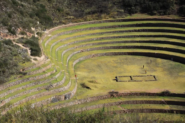 Antigos terraços circulares incas em Moray — Fotografia de Stock