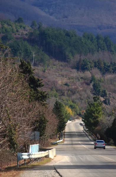 Rusya ile sınırı yakınlarında Abhazya'da yol — Stok fotoğraf