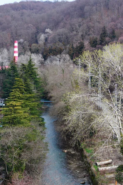 Hermoso paisaje otoñal en Sochi — Foto de Stock