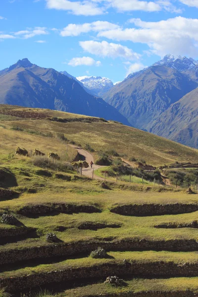 Antik Inca Moray, dairesel teraslar manzara — Stok fotoğraf