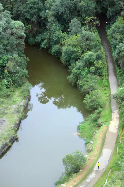 Aerial view of park in Curitiba — Stock Photo, Image