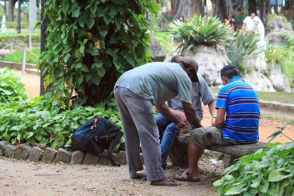 साओ पाओलोच्या उद्यानात तीन पुरुष कार्ड खेळतात — स्टॉक फोटो, इमेज